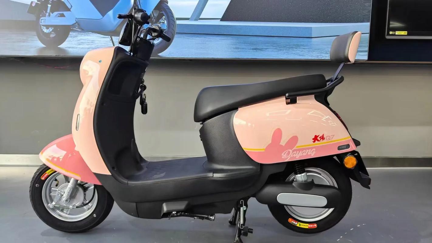 大阳电动车 大阳电动车是杂牌还是小品牌