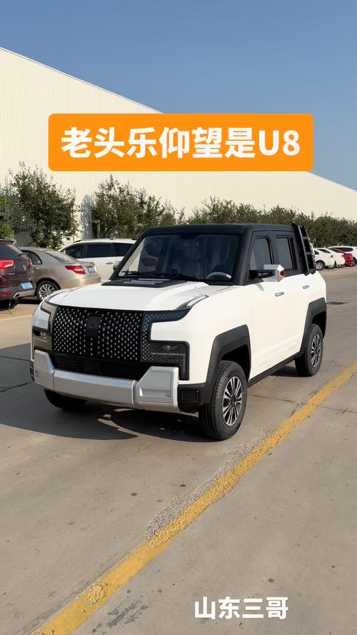 汽车什么品牌好 老头乐电动汽车什么品牌好