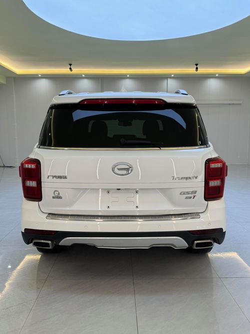 新款广汽传祺gs8七座多少钱(广汽传祺7座gs8多少钱)