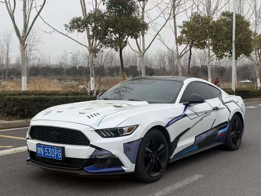 二手福特野马多少钱,二手福特野马多少钱能买到