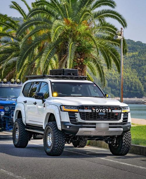 丰田全球车型有哪些,丰田最好的三款车