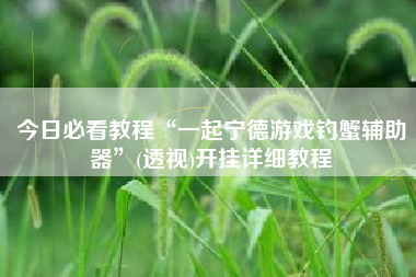 今日必看教程“一起宁德游戏钓蟹辅助器	”(透视)开挂详细教程