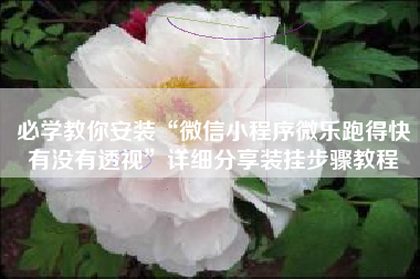 必学教你安装“微信小程序微乐跑得快有没有透视”详细分享装挂步骤教程