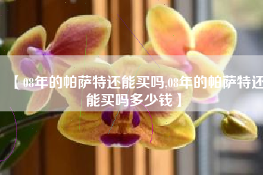 【08年的帕萨特还能买吗,08年的帕萨特还能买吗多少钱】