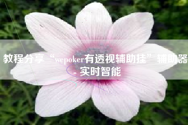 教程分享“wepoker有透视辅助挂”辅助器 - 实时智能