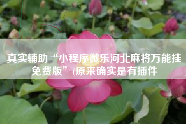 真实辅助“小程序微乐河北麻将万能挂免费版”(原来确实是有插件