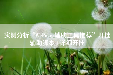 实测分析“WePoker辅助工具推荐	”开挂辅助脚本+详细开挂