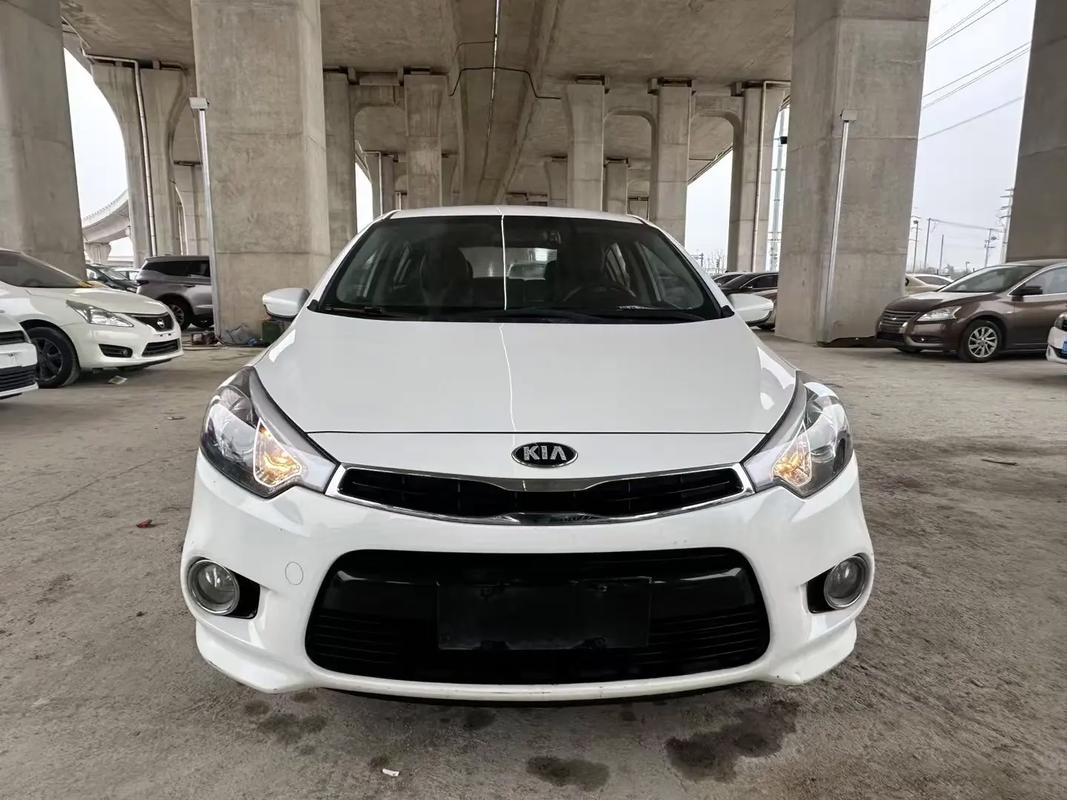 起亚k3s缺点(起亚k3s有什么缺点)