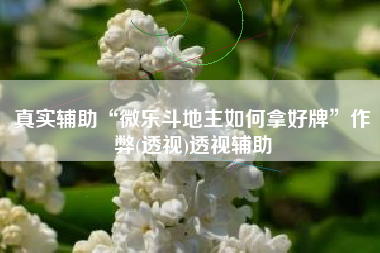 真实辅助“微乐斗地主如何拿好牌	”作弊(透视)透视辅助