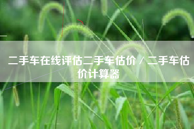 二手车在线评估二手车估价／二手车估价计算器