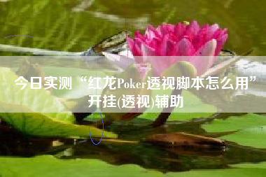 今日实测“红龙Poker透视脚本怎么用	”开挂(透视)辅助