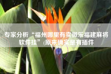 专家分析“福州哪里有卖微乐福建麻将软件挂	”(原来确实是有插件