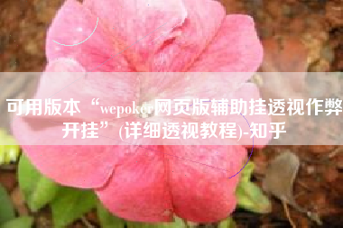可用版本“wepoker网页版辅助挂透视作弊开挂	”(详细透视教程)-知乎