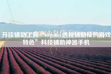 开挂辅助工具“wepoker透视辅助挂的游戏特色”科技辅助神器手机
