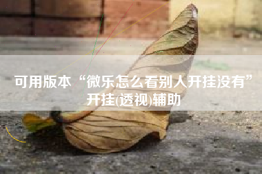 可用版本“微乐怎么看别人开挂没有”开挂(透视)辅助
