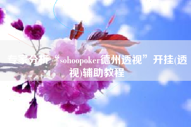 专家分析“sohoopoker德州透视”开挂(透视)辅助教程
