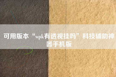 可用版本“wpk有透视挂吗	”科技辅助神器手机版