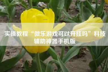 实操教程“微乐游戏可以开挂吗”科技辅助神器手机版