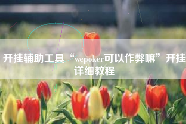 开挂辅助工具“wepoker可以作弊嘛”开挂详细教程
