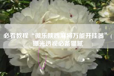 必看教程“微乐陕西麻将万能开挂器	”(曝光透视必备猫腻