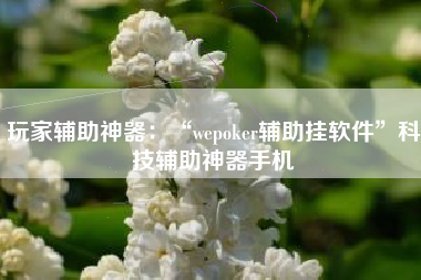 玩家辅助神器：“wepoker辅助挂软件”科技辅助神器手机